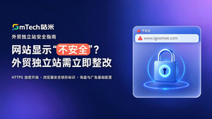 外贸独立站HTTPS升级.png
